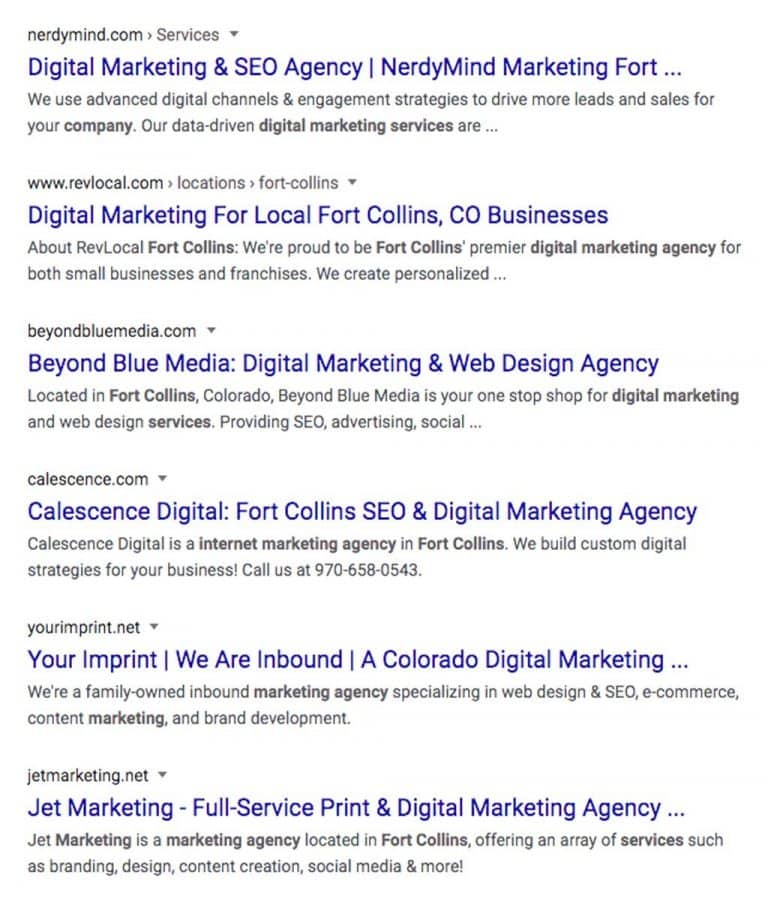 Digital marketing services Fort Collins 768x902 1 / The Importance of Having a Website in 2020 / Beyond Blue Media