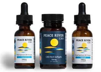 Peace River CBD logo / 5 Reasons Why Your Logo Matters / Beyond Blue Media